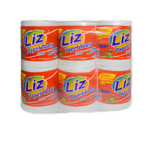 Papel Toalla institucional Liz Paq x 6 und